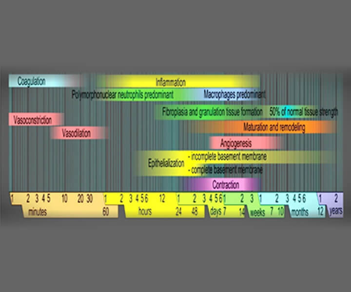 Accelerated Tissue Healing